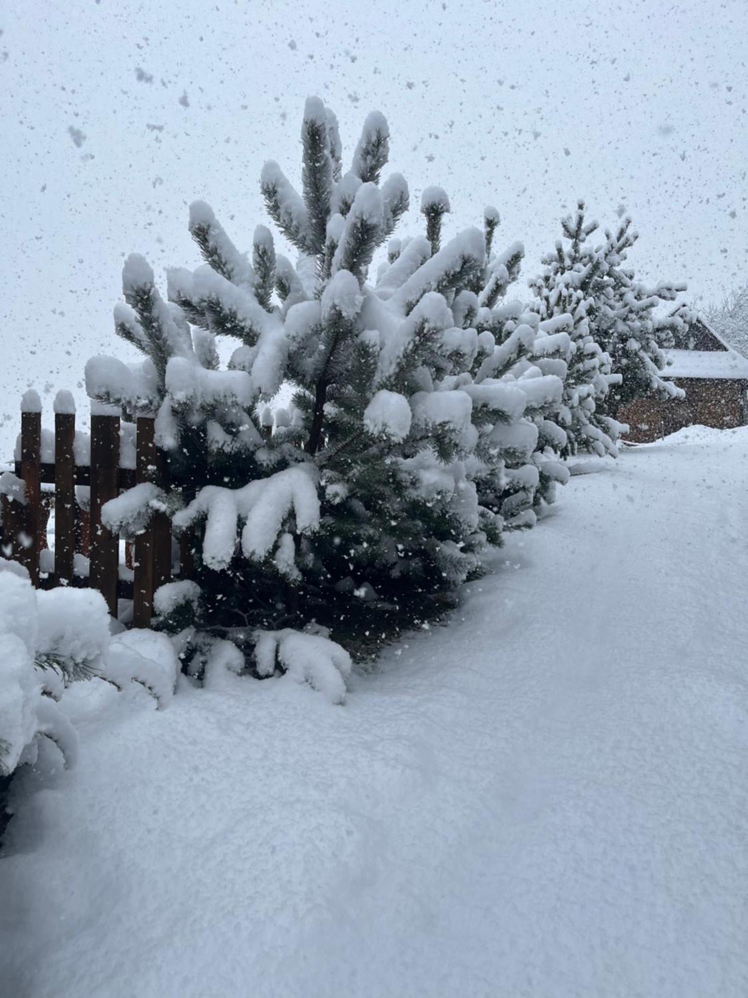 Hirska Vatra Villa Slavske Buitenkant foto